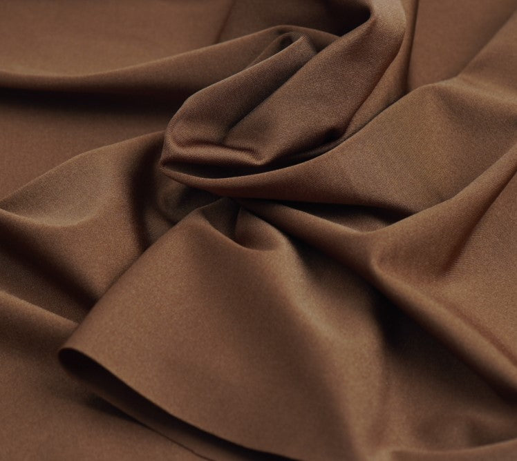 image of bikini-sea-shell-in-brown-color